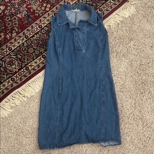 Double D Ranch Denim Sleeveless Dress